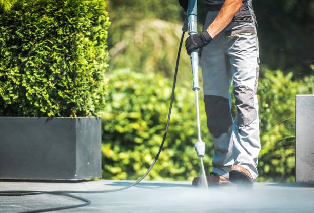 Best Gutter Cleaning  in Newhall, IA