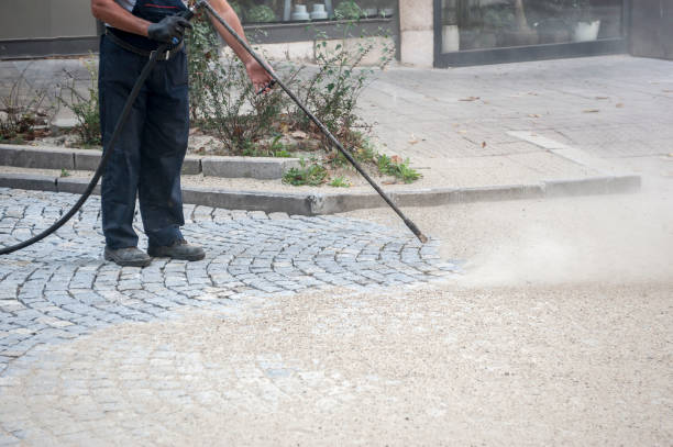 Best Spring Cleaning  in Newhall, IA